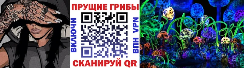 закладка  Арамиль  Галлюциногенные грибы мицелий 
